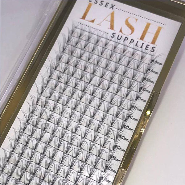 Pre-Fanned Lashes Single Length